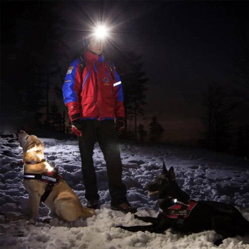 Ліхтар Mactronic Sunscan 5.3 (300 Lm) 90 CRI (PHL0031) (DAS302564)