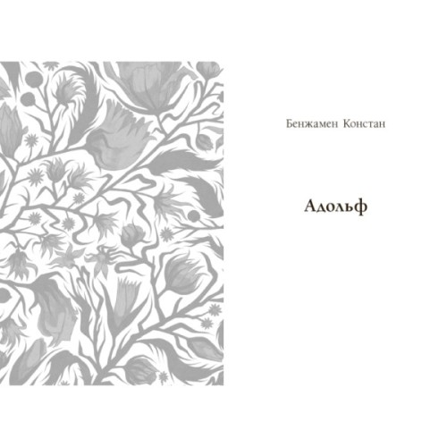 Книга Принцеса Клевська, Адольф - Бенджамін Констан, Марі-Мадлен де Лафаєтт Readberry (9786170995360)