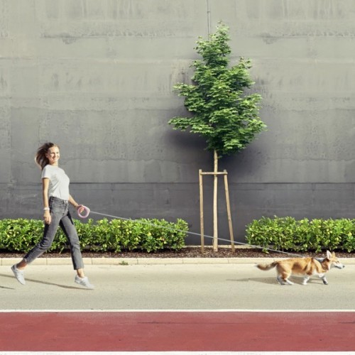 Повідець для собак WAUDOG R-leash світловідбиваюча стрічка XS-M до 40 кг 2.9 м рожевий (81277)