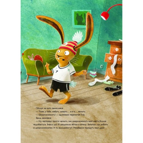 Книга Заєць Гібіскус і шмаркленежить - Андреас Кеніґ Жорж (9786178287498)