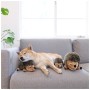 Іграшка для собак Outward Hound Hedgehogz Їжачок Small (0700603320245)