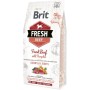 Сухий корм для собак Brit Fresh Beef/Pumpkin Puppy Large 2.5 кг (8595602530762)