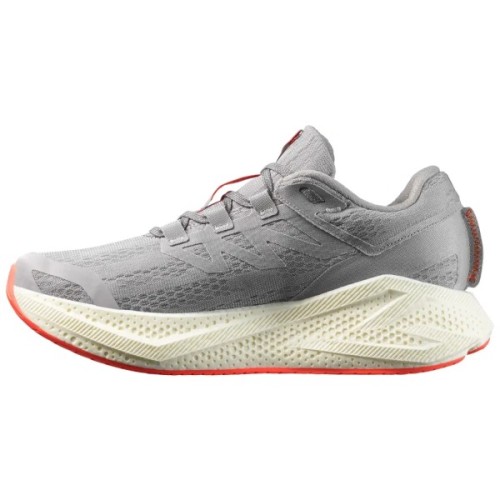 Кросівки Salomon Aero Glide 3 Alloy/Vanilla Ice/Neon Flame 9.5 (L47810600-9.5)