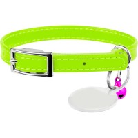Нашийник для тварин WAUDOG Glamour з QR паспортом Д 22-30 см салатовий (32485)