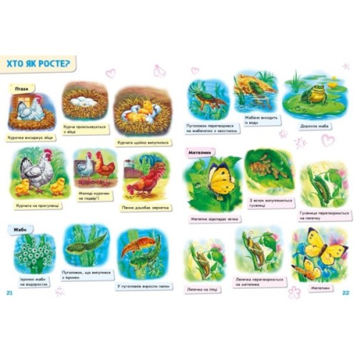 Книга Малюкові про все на світі Ранок (9786170986092)