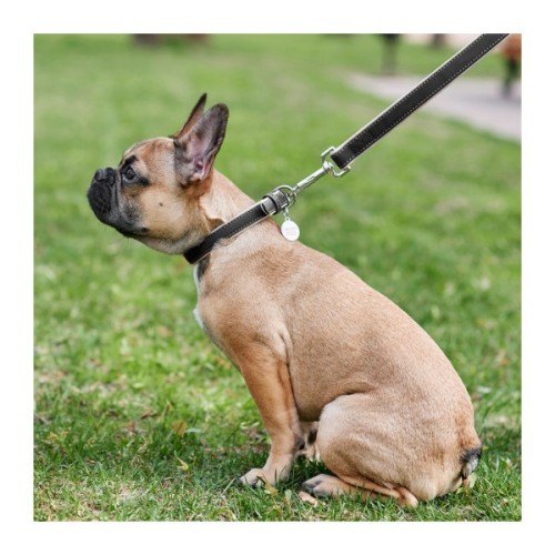 Повідець для собак WAUDOG Soft S Ш 18 мм Д 122 см чорний (7256)