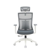Офісне крісло OfficePro Balance OC550-W-DG-DG (OC550-W-DG-DG)