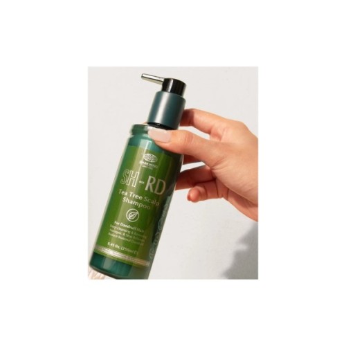 Шампунь SH-RD Tea Tree Scalp Shampoo Проти лупи на основі масла чайного дерева 250 мл (652418101338)