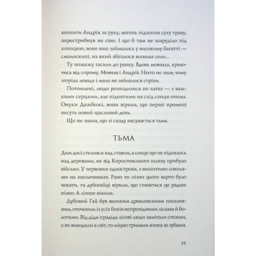 Книга Витязь і Вірлиця - Наталія Довгопол Жорж (9786178023409)