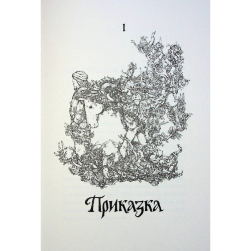 Книга Витязь і Вірлиця - Наталія Довгопол Жорж (9786178023409)