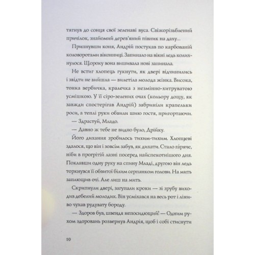 Книга Витязь і Вірлиця - Наталія Довгопол Жорж (9786178023409)