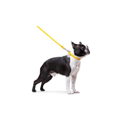 Повідець для собак WAUDOG Glamour круглий XS d 8 мм Д 122 см жовтий (33778)