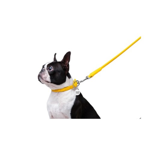 Повідець для собак WAUDOG Glamour круглий XS d 8 мм Д 122 см жовтий (33778)