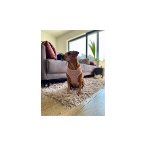 Шлея для собак Chloe's Home Dakar рожева M (CLH8768)