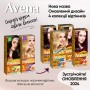 Фарба для волосся Acme Color Avena Gloss Color Стійка 233 - Рубіновий (4823115502735)