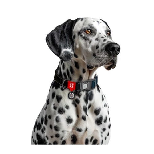 Нашийник для тварин WAUDOG Nylon Mono з QR паспортом, пластиковий фастекс M чорний (52101)