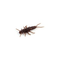 Силікон рибальський FishUP Stonefly 0.75" 012 - Chaos (12шт/уп) (1864.00.36)