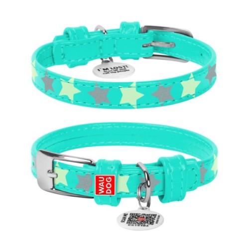 Нашийник для тварин WAUDOG Glamour з QR-паспортом "Зірочка" XS Ш 12 мм Д 21-29 см ментоловий (358413)