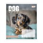 Зошит Yes Dog too pup А5 12 аркушів лінія (768732)