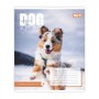 Зошит Yes Dog too pup А5 12 аркушів лінія (768732)