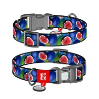 Нашийник для тварин WAUDOG Nylon з QR паспортом "Інжир" пластиковий фастекс L (282-4053)
