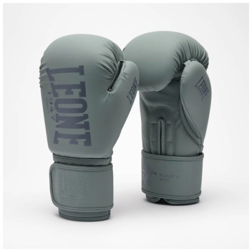 Боксерські рукавички Leone GN058 Tone X Light grey 10 oz (GN058_Light_grey_10oz)