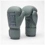 Боксерські рукавички Leone GN058 Tone X Light grey 10 oz (GN058_Light_grey_10oz)