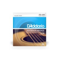 Струни для гітари D'Addario Phosphor Bronze Regular Light (12-53) (EJ16)