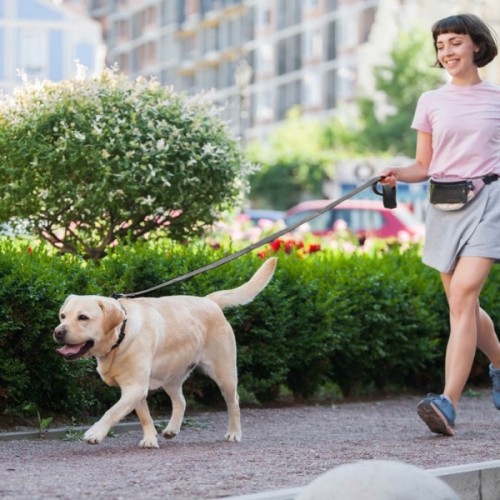 Повідець для собак Evolutor 120 см 25 мм чорний (42101)