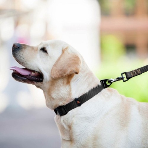 Повідець для собак Evolutor 120 см 25 мм чорний (42101)