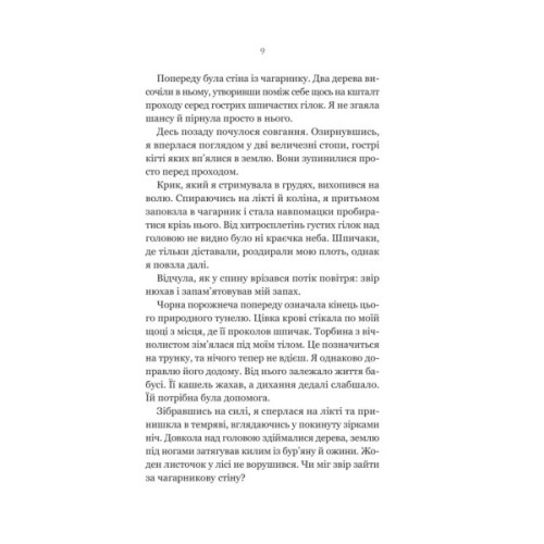 Книга Руїна троянд - К. Ф. Брін Vivat (9786171707238)