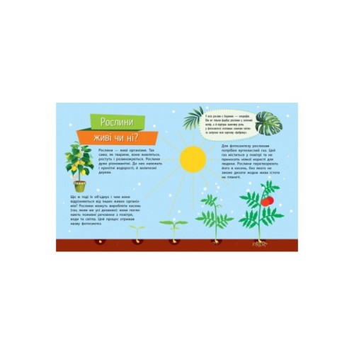 Книга Рослини. Чомусики - Г.К. Булгакова Ранок (9786170937834)