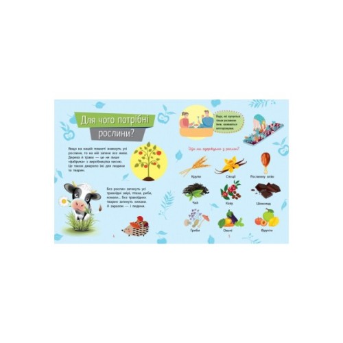 Книга Рослини. Чомусики - Г.К. Булгакова Ранок (9786170937834)