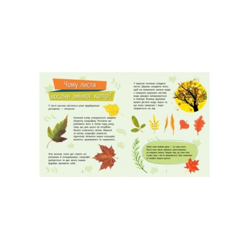 Книга Рослини. Чомусики - Г.К. Булгакова Ранок (9786170937834)