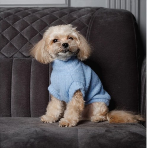 Светр для тварин Pet Fashion Ball XS2 блакитний (4823082445103)