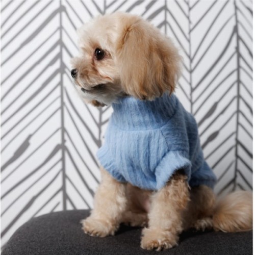 Светр для тварин Pet Fashion Ball XS2 блакитний (4823082445103)