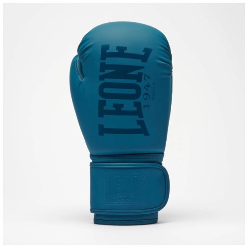Боксерські рукавички Leone GN058 Tone X Teal 14 oz (GN058_Teal_14oz)