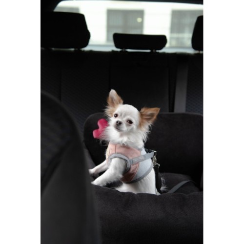 Автомобільне крісло для тварин Chloe's Home Paris M/L 65х45 см чорне (CLH1004)