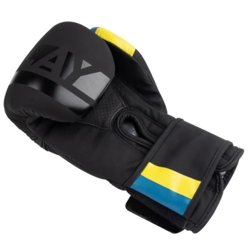 Боксерські рукавички PowerPlay 3021 Ukraine Чорні 10 унцій (PP_3021_10oz_Black)