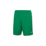 Шорти Joma Nobel 100053.450 зелений L (9995138944085)