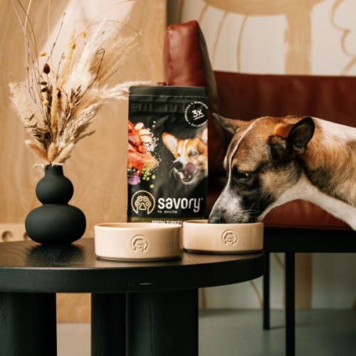 Посуд для собак Savory Керамічна миска Classic Ceramic Bowl Savory 450 мл (2700000055083)