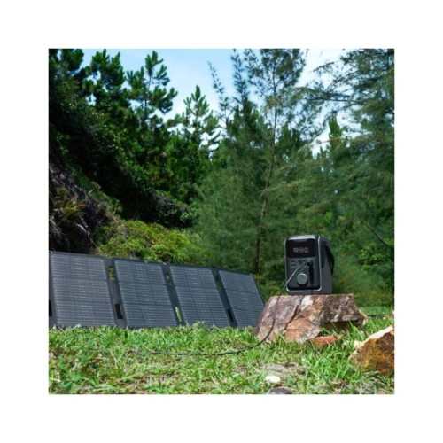 Зарядна станція EcoFlow TRAIL 300 DC 300W 288 Wh (EF-TRAIL300-N)