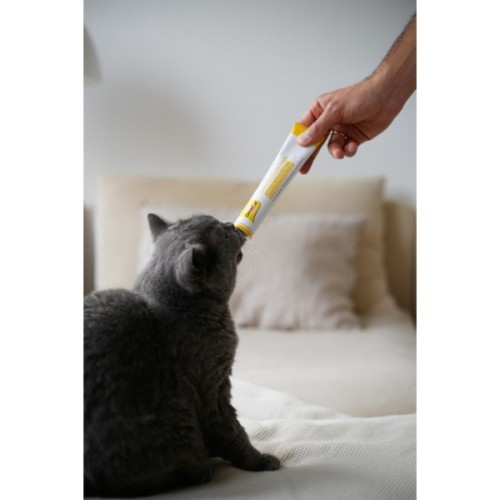 Паста для тварин GimCat Cheese Biotin Paste cирна з біотином 100 г (4002064401010)