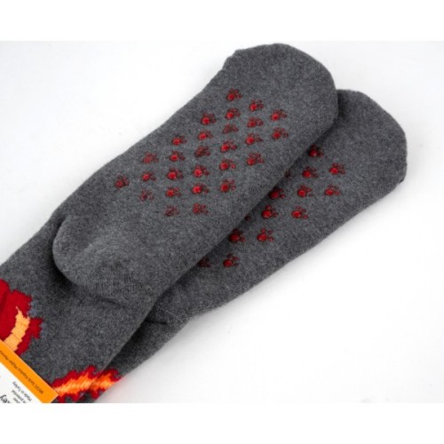 Шкарпетки дитячі Bross махрові з драконом (9898-8-10-gray)