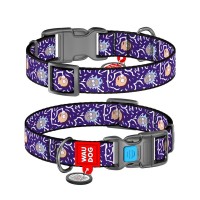 Нашийник для тварин WAUDOG Nylon з QR паспортом "Рік і Морті 2" пластиковий фастекс XXL (284-0281)