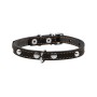 Нашийник для тварин Collar одинарний з прикрасами Ш 14 мм Д 27-35 см чорний (00041)