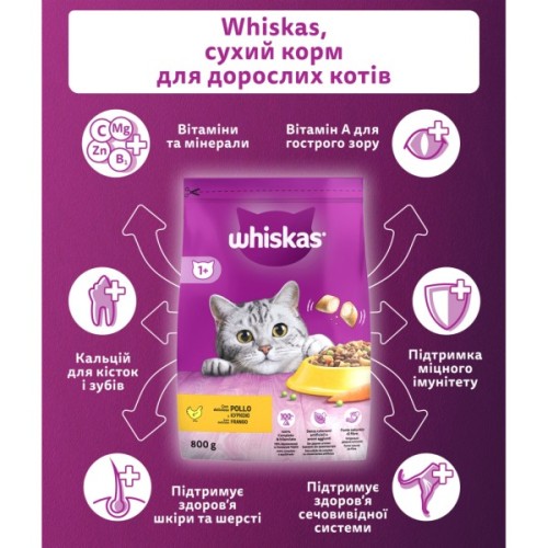 Сухий корм для кішок Whiskas з куркою 800 г (5998749144367/5900951355929)