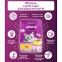 Сухий корм для кішок Whiskas з куркою 800 г (5998749144367/5900951355929)