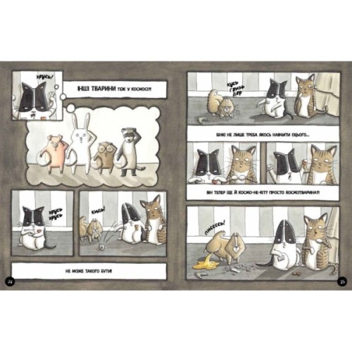 Книга Бінкі має доручення - Ешлі Спайрс Ранок (9786170980205)