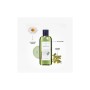 Шампунь Lebel Seaweed Shampoo 240 мл (4952195621385)
